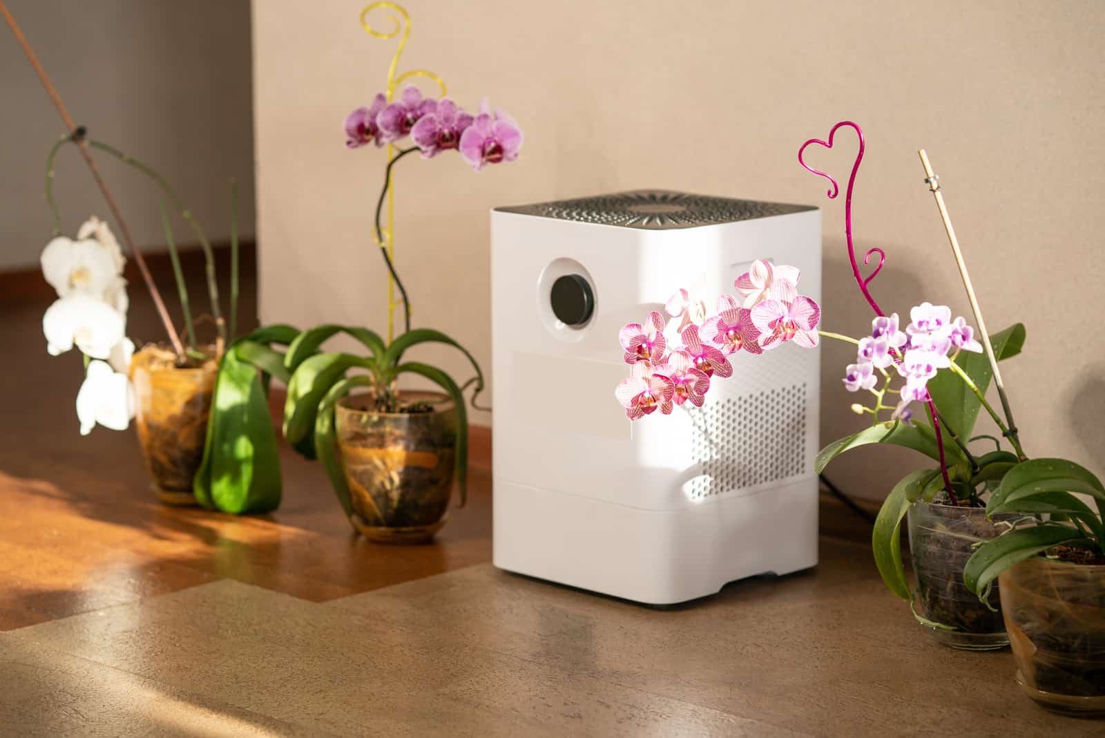 Humidificador de aire cerca de las flores de las orquídeas en casa.