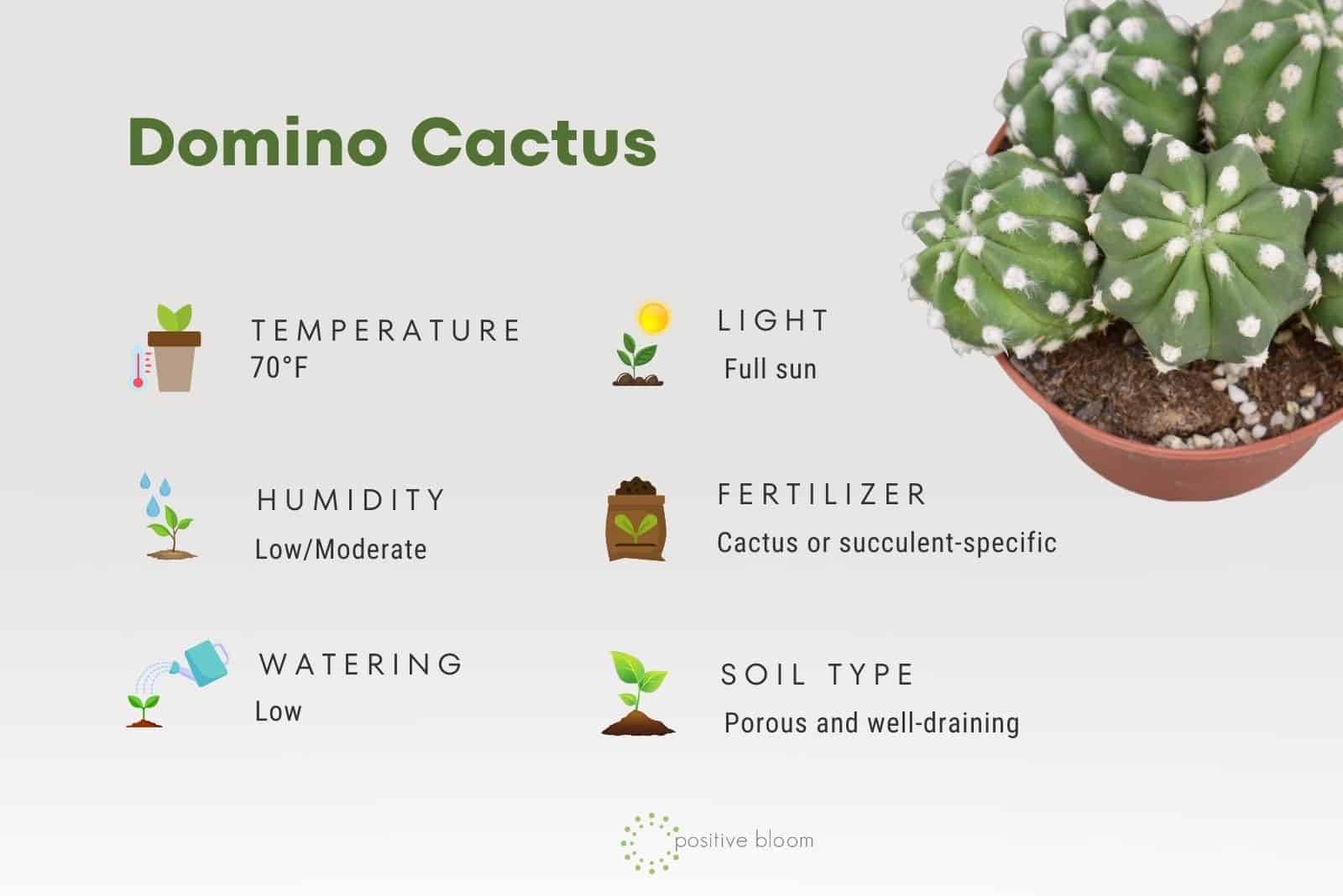 Datos del cacto dominó