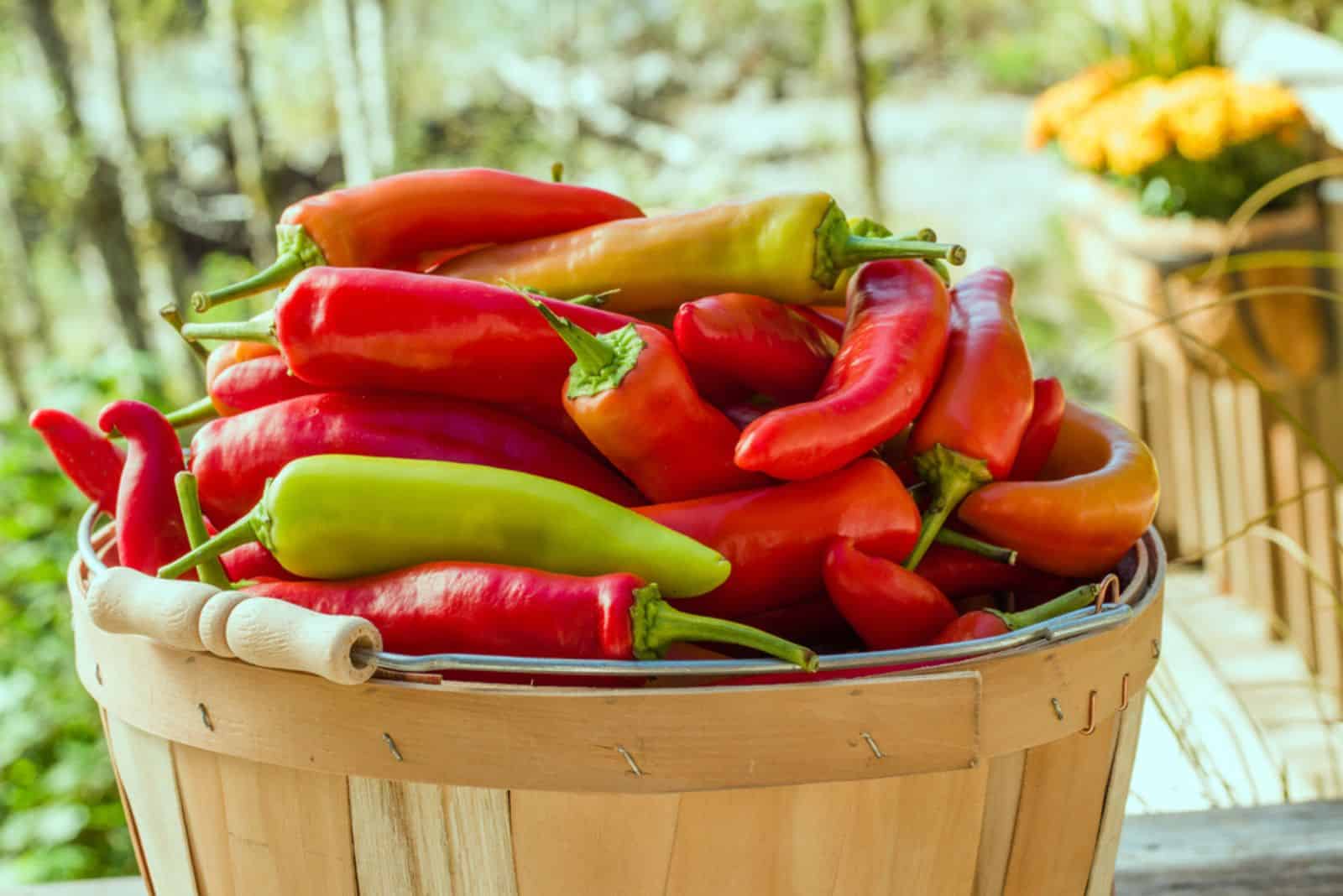 Pimientos picantes de plátano en una cesta de madera