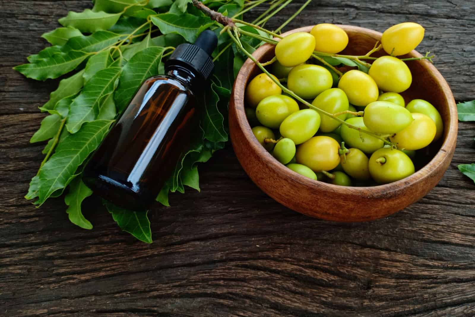 Aceite de neem en botella de hoja verde y fruta de neem en un tazón de madera en la mesa