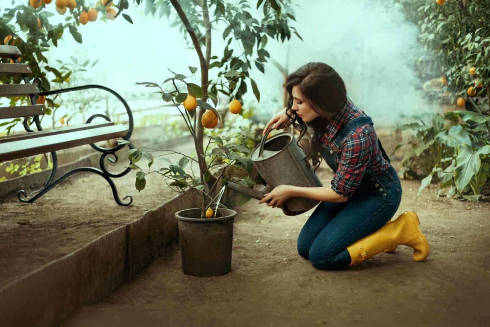 La jardinera se sienta en su regazo y vierte limón con agua de una regadera