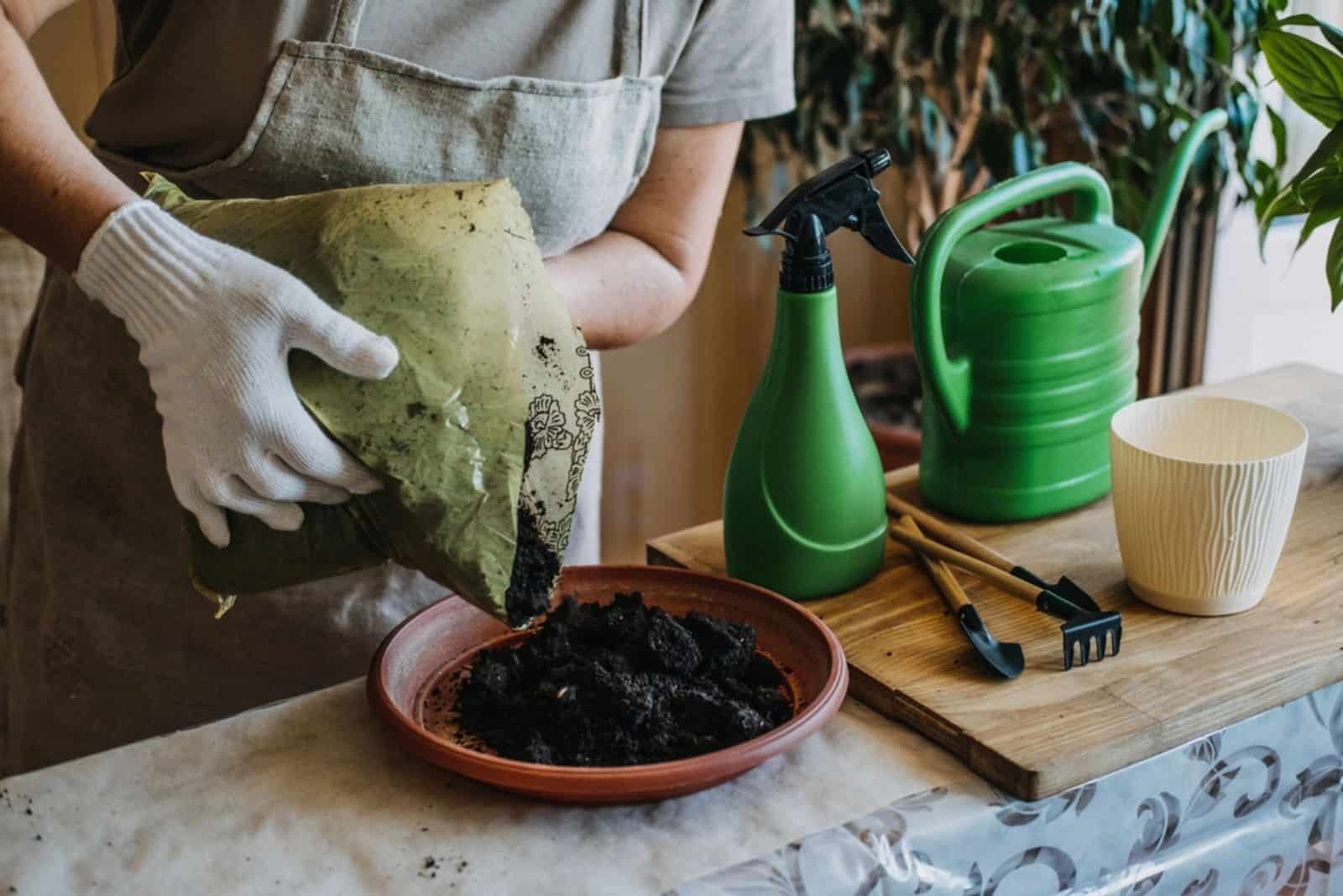 La mujer está trasplantando la planta a una maceta nueva en casa