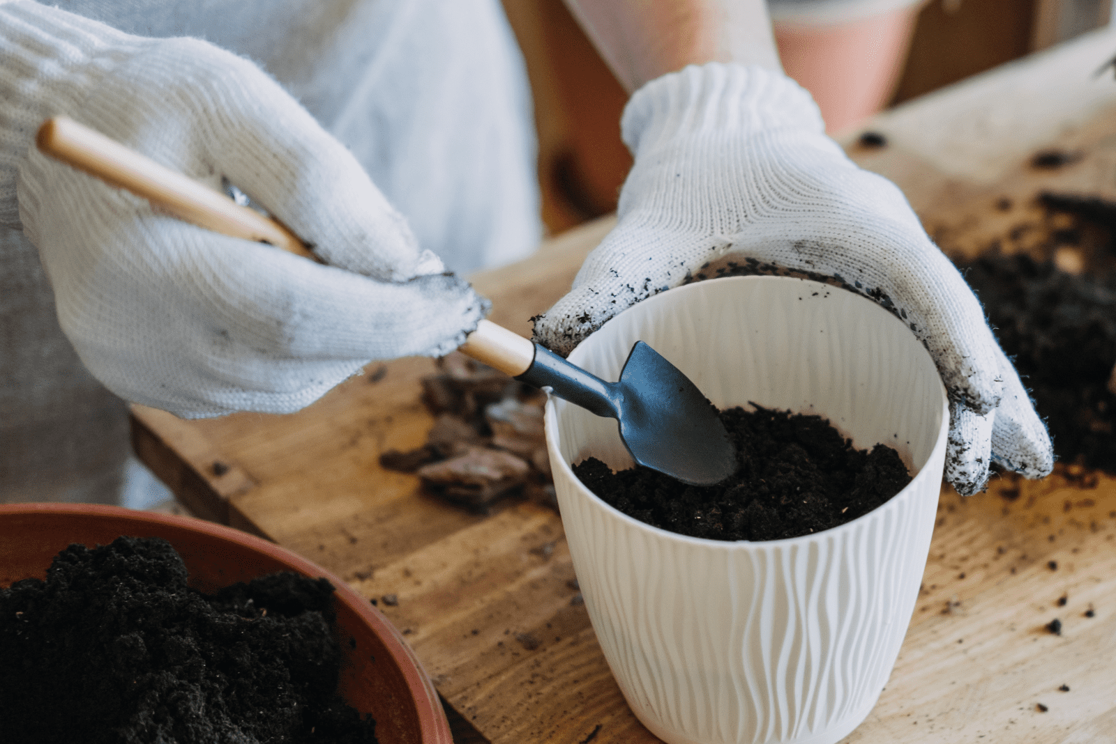 una mujer prepara material para trasplantar una planta