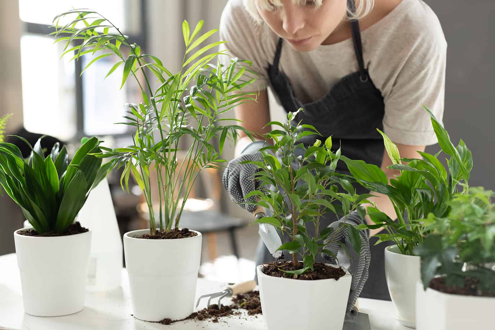 mujer concentrada observando plantas interiores