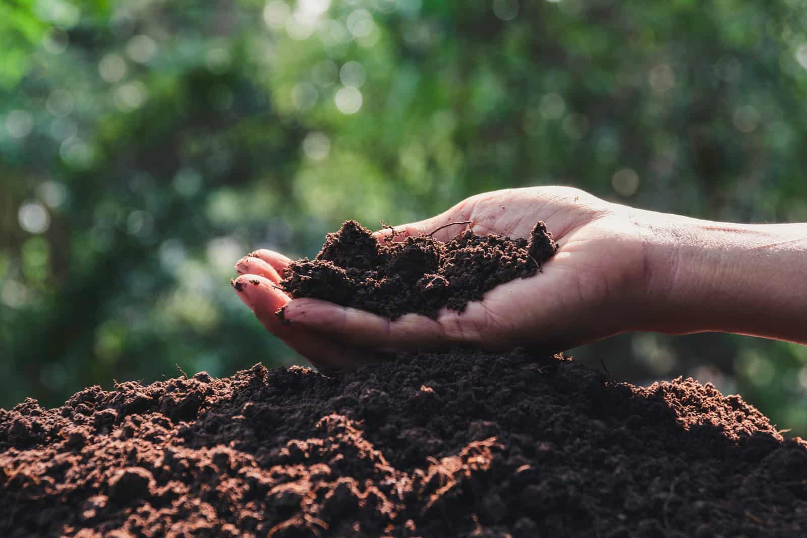 jardinero sosteniendo tierra en la mano