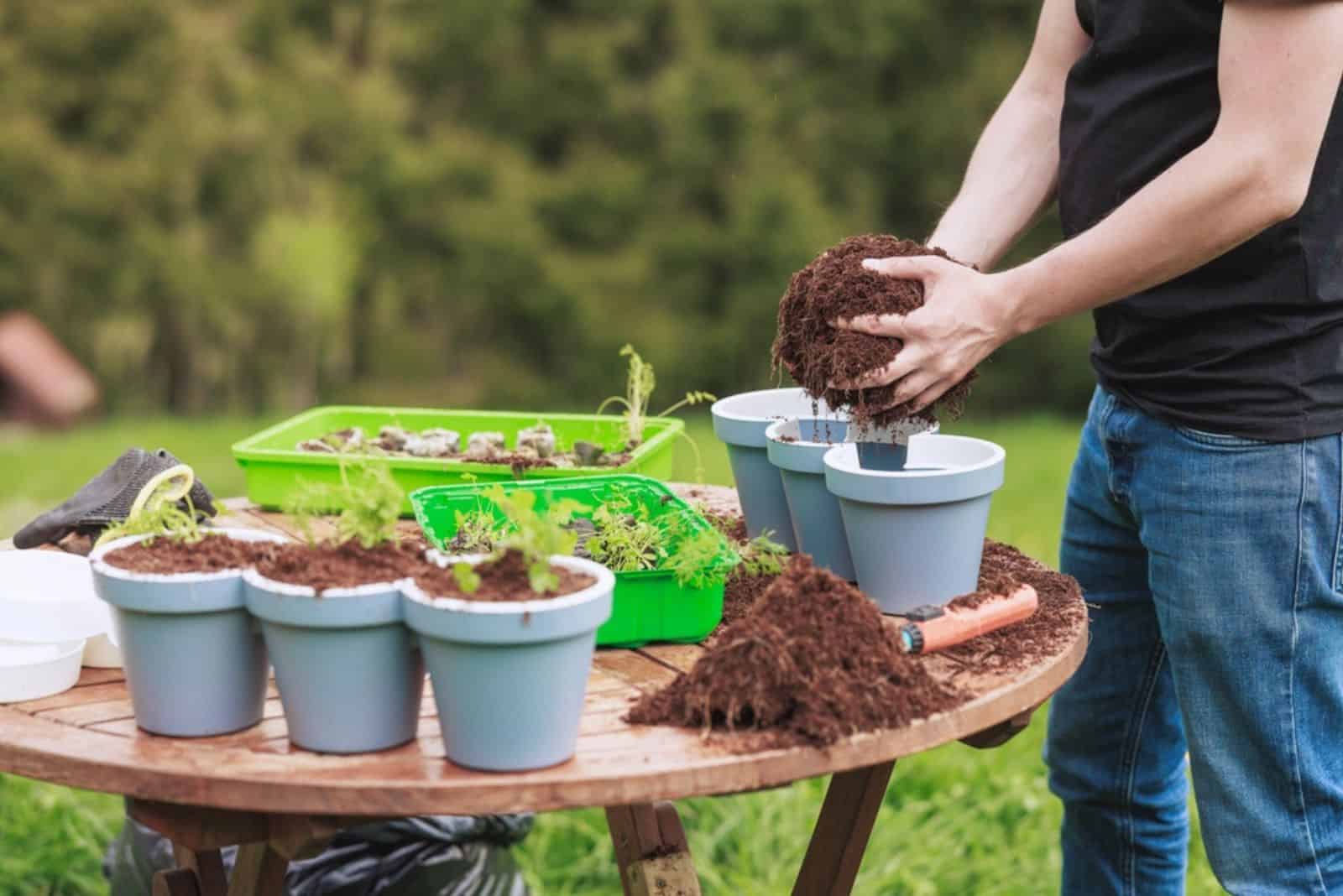 jardinero hacer mezcla para macetas de hierbas