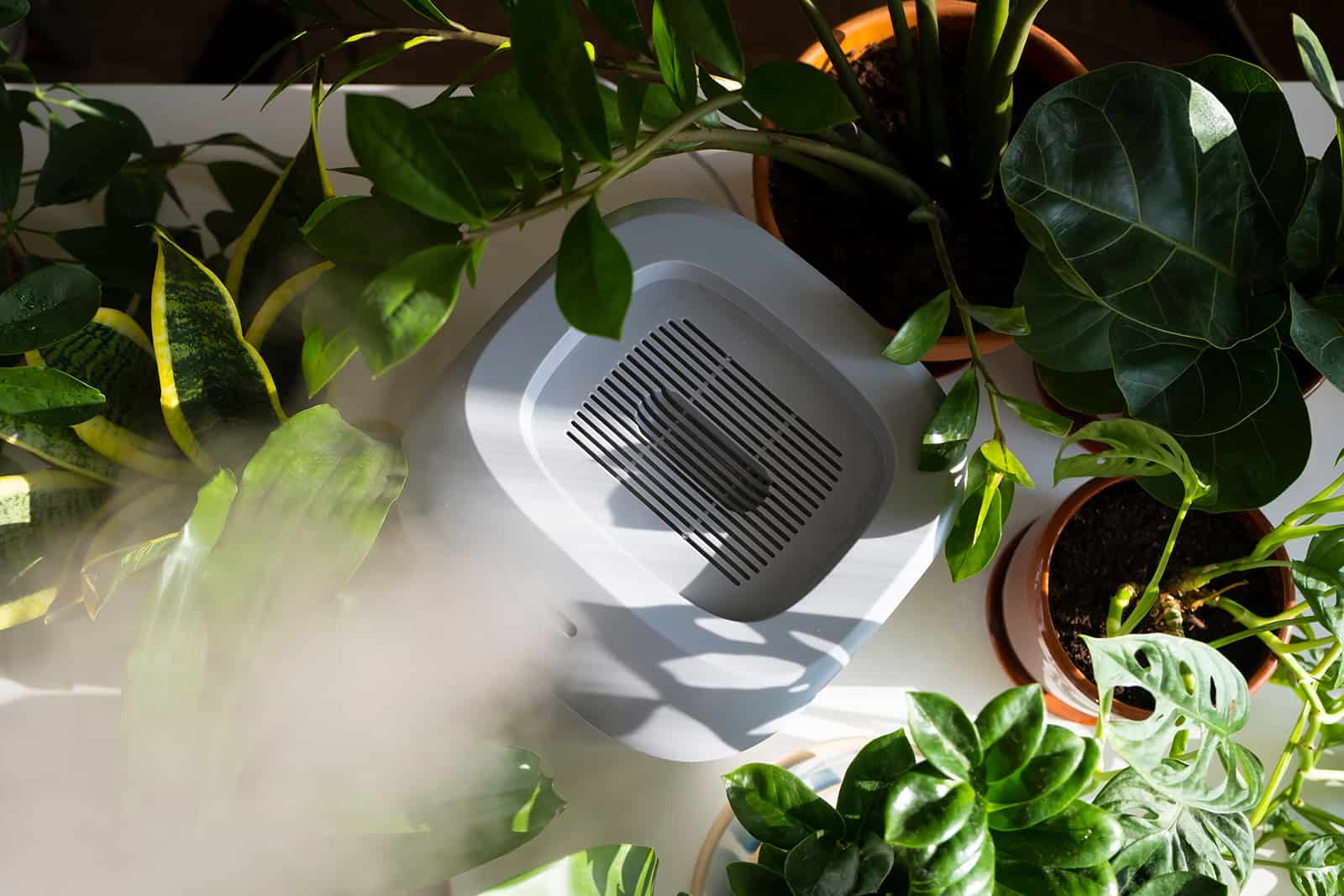 humidificador esparciendo vapor entre las plantas de interior