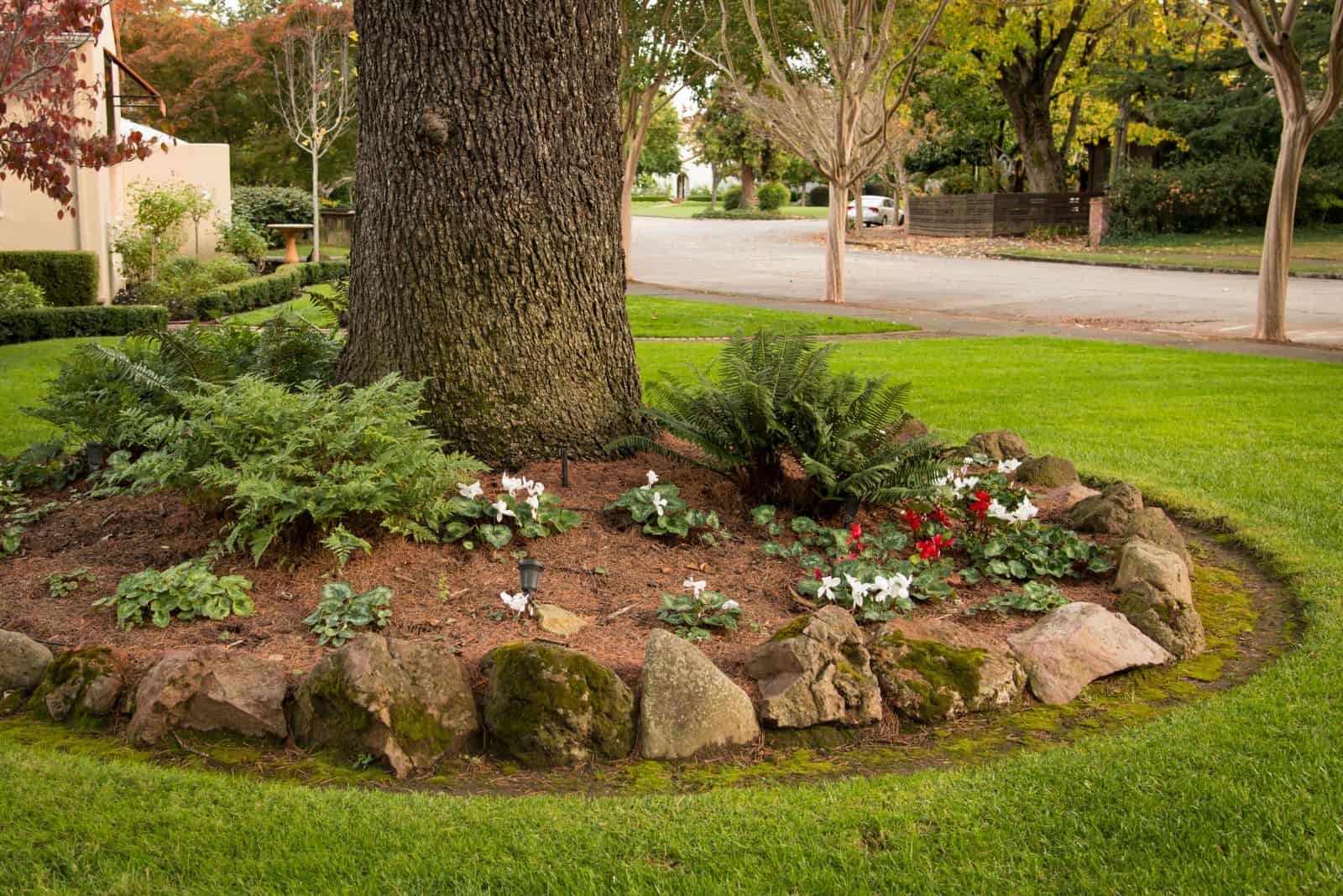 paisajismo alrededor del árbol con piedra