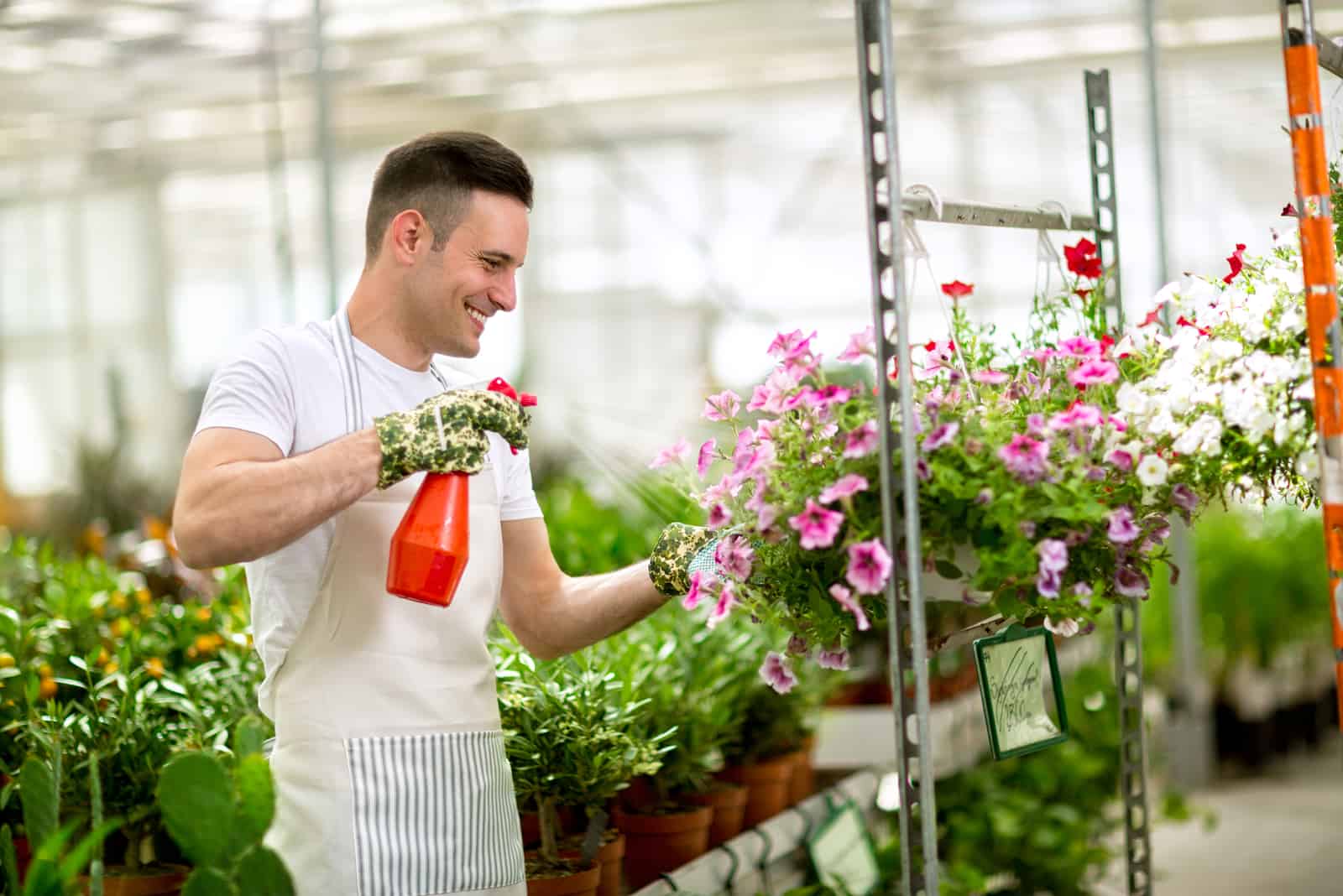 hombre rociando flores