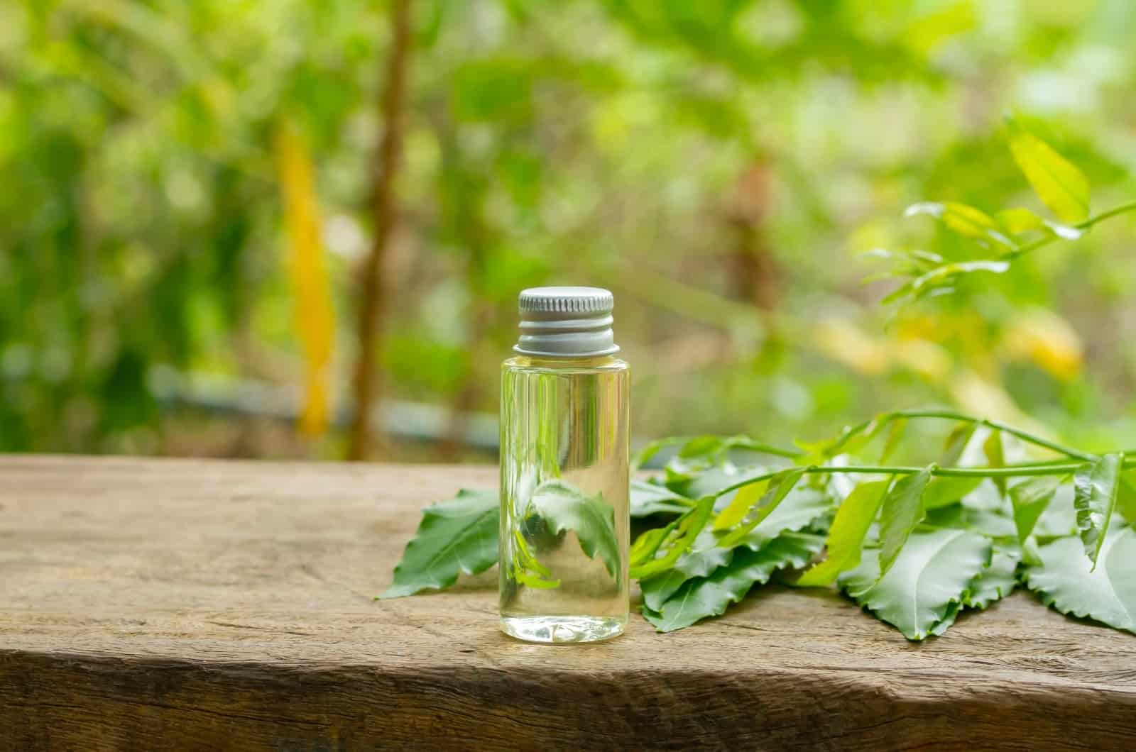 aceite de neem en botella