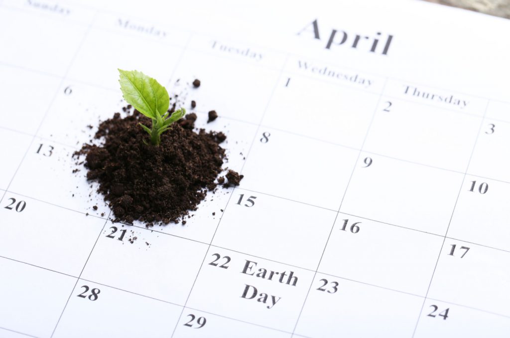 planta en un calendario