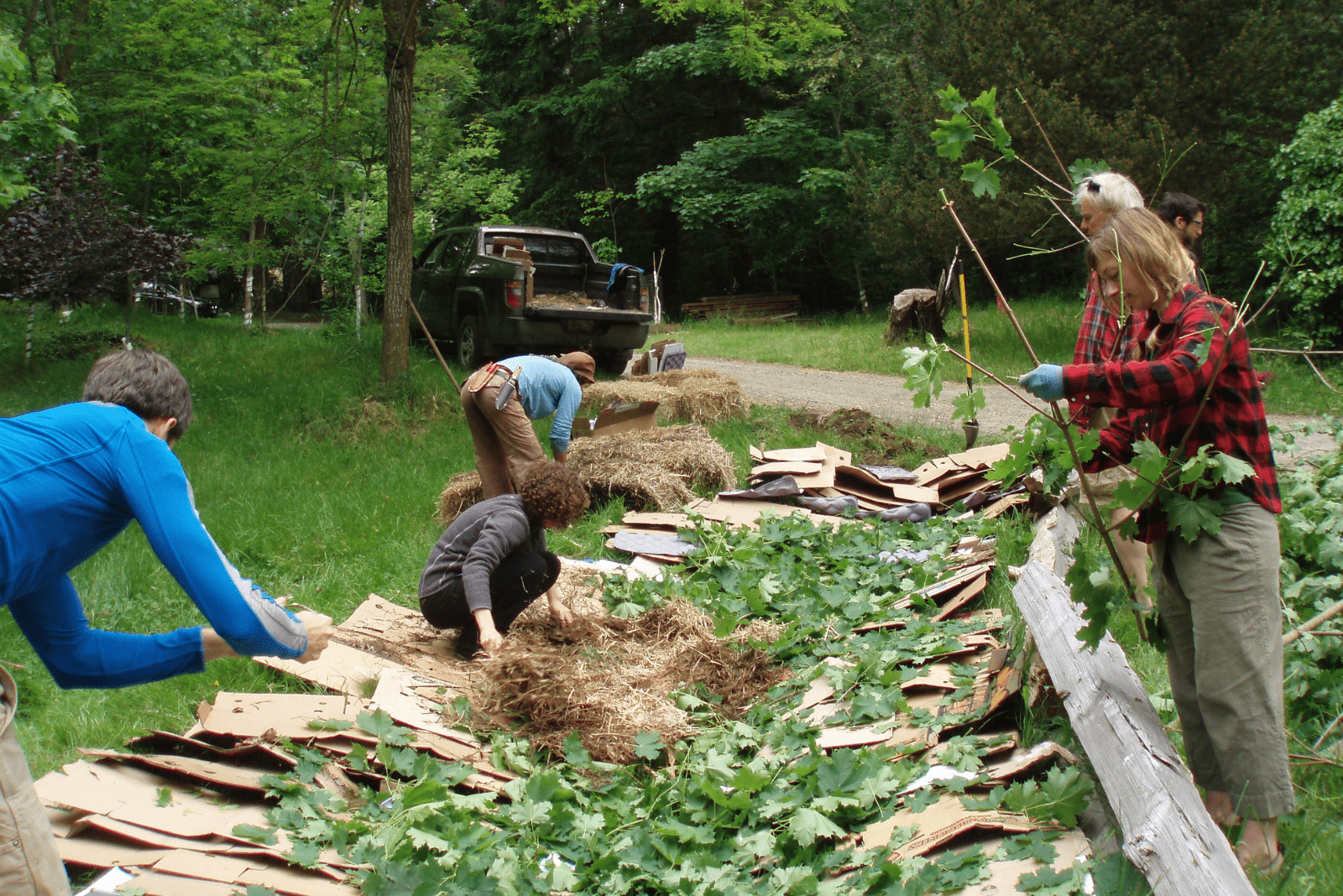 preparación para el método de jardinería de lasaña