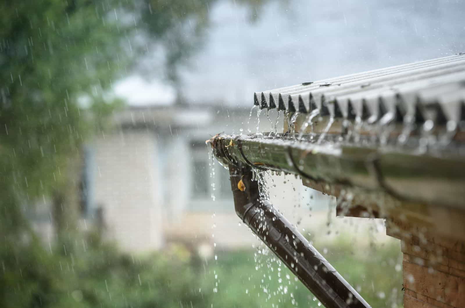 lluvia cayendo sobre decisión