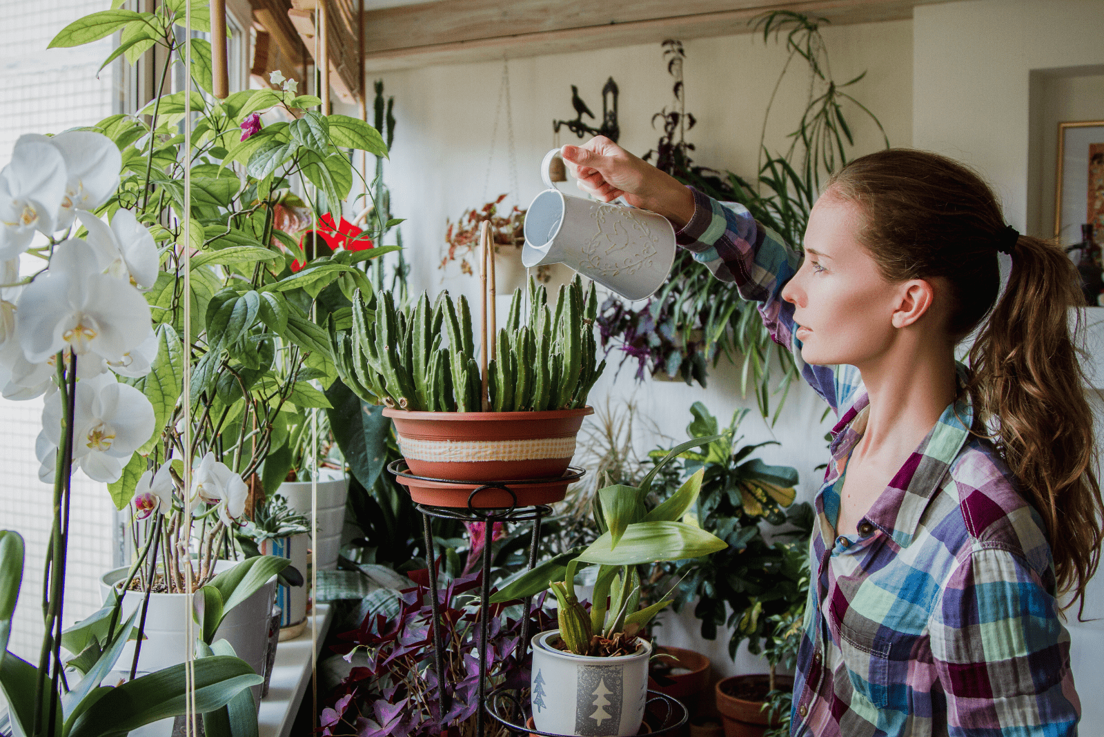 mujer bahía flores