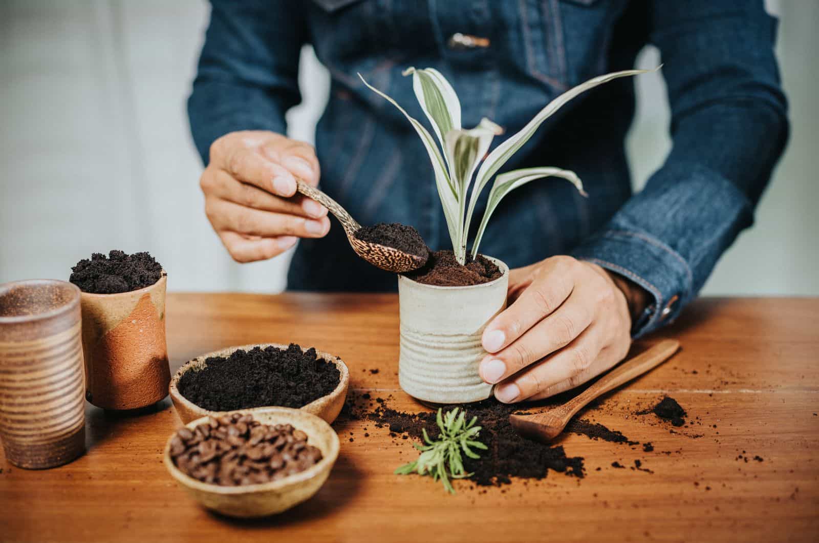 mujer poniendo café en suelo vegetal