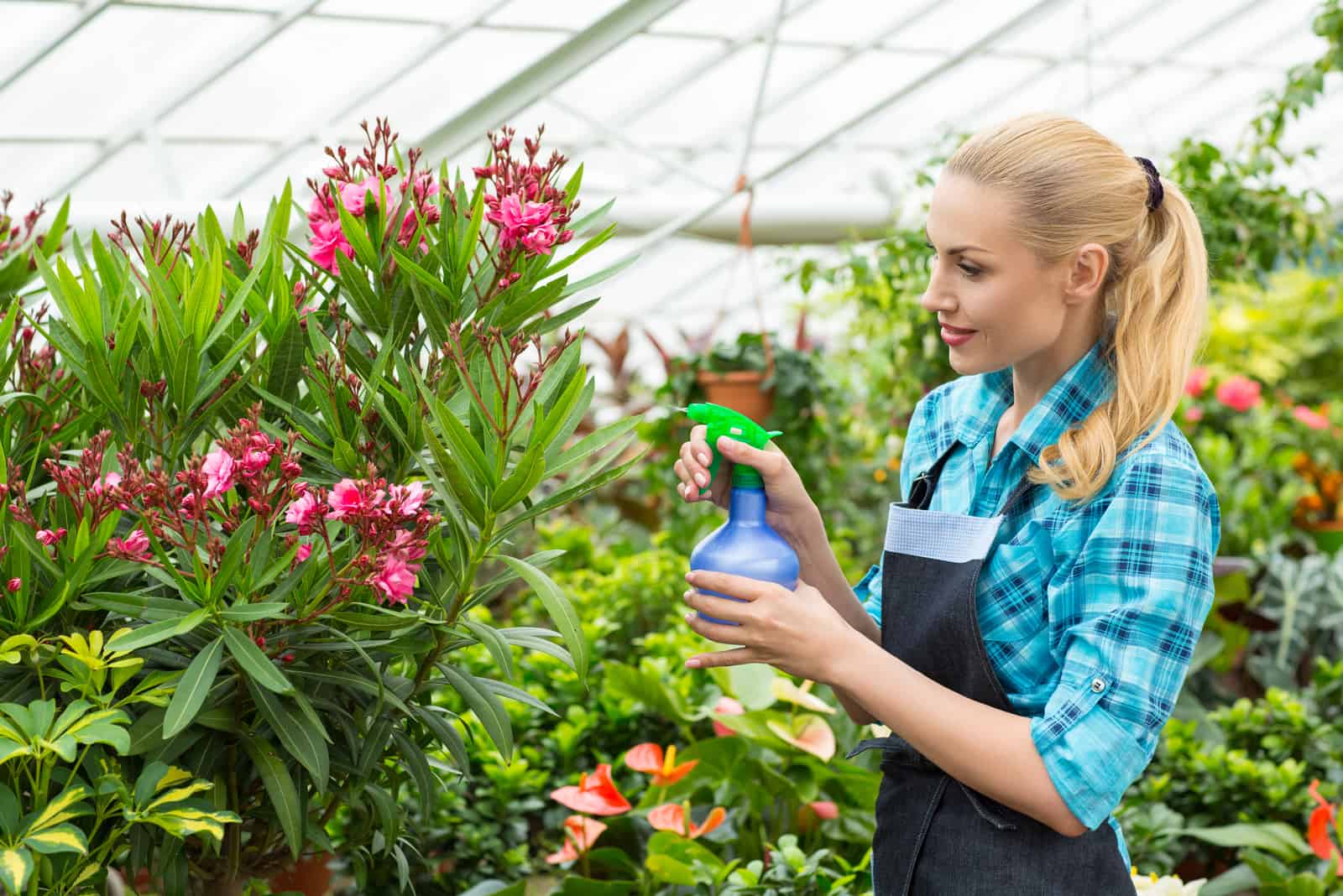 mujer rociando flores